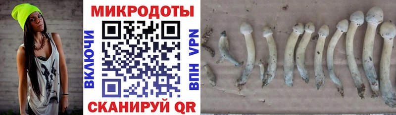 Галлюциногенные грибы мицелий  наркошоп  Чердынь 