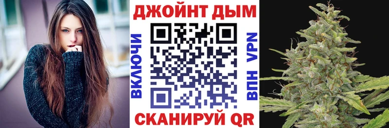 Конопля гибрид  Чердынь 